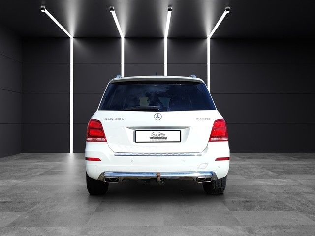 Fahrzeugabbildung Mercedes-Benz GLK 250 CDI 4Matic Memo*Navi*Shzg*Bi-Xenon*AHK