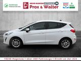 Ford Fiesta 1.0 EcoBoost M-Hybrid Titanium LED+NAVI - Ford Fiesta: Weiß