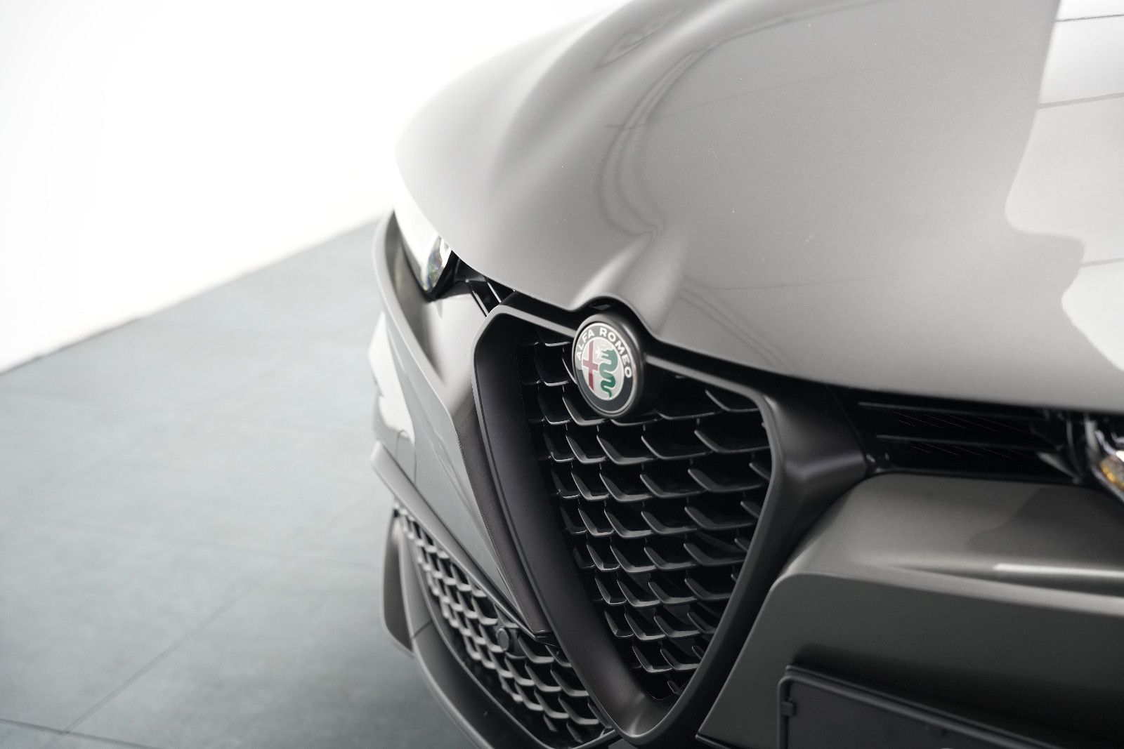 Fahrzeugabbildung Alfa Romeo Tonale Edizione Speciale *Ambiente*Kamera*ACC*