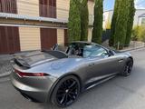 Jaguar F-Type Cabriolet P300 2.0 R-Dynamic Black Pack - Jaguar in Bonn