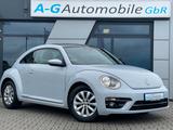 Volkswagen Beetle 1.2 TSI Design BMT /Navi/PDC/Kurvenlicht - Volkswagen Beetle: Kleinwagen