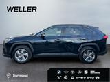 Toyota RAV 4 2.5 4x2 Hybrid Lounge *Pano*Leder*360*4xSH - Toyota Gebrauchtwagen von 2019