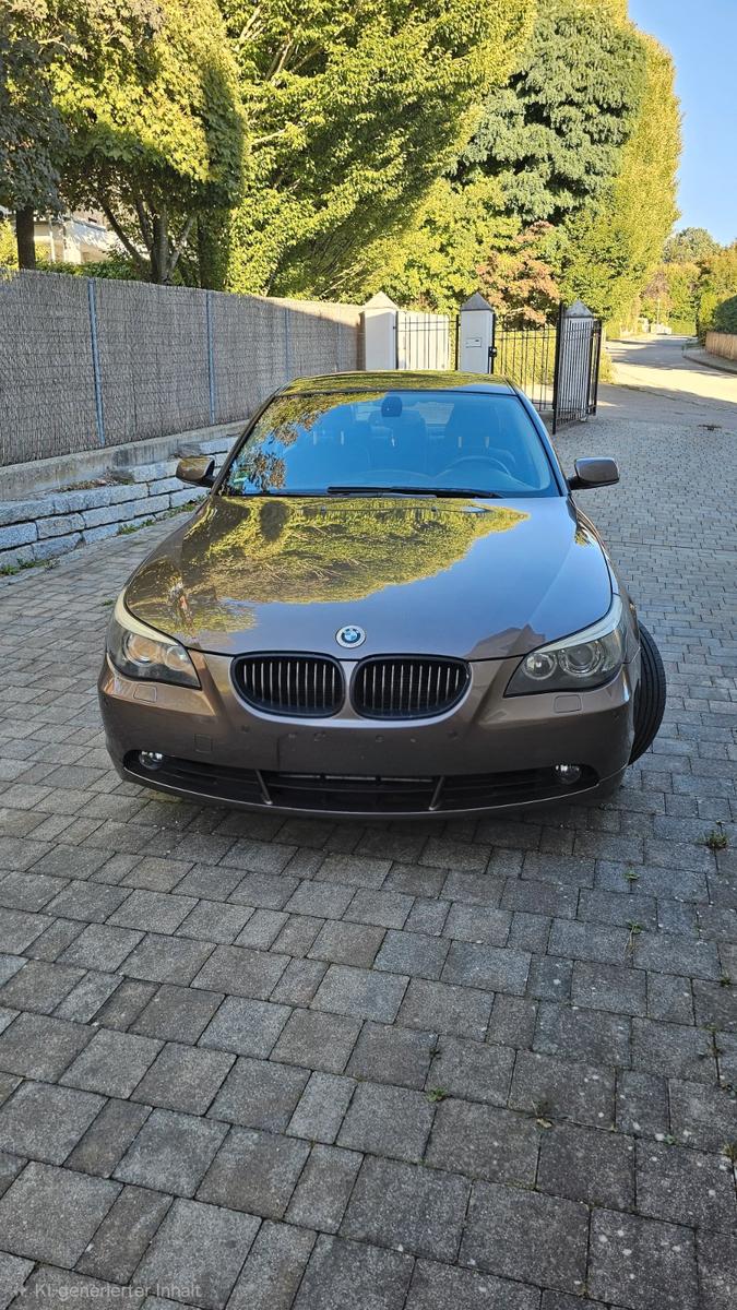 BMW 530i(E60) Top gepflegt Vollausstattung 127.000km