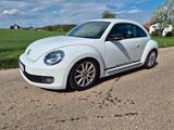 Volkswagen Beetle 2.0 TSI DSG Sport Turbo  - Volkswagen Beetle aus 2011