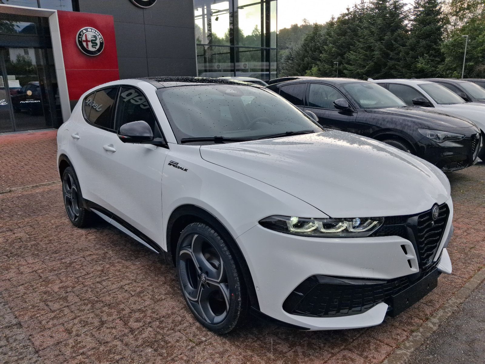 Fahrzeugabbildung Alfa Romeo Tonale Sport Speciale