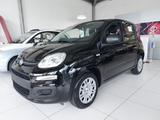 Fiat Pandina 1.0 GSE Hybrid 48 kW Icon PDC Klima.... - Fiat Panda Gebrauchtwagen in Stuttgart