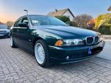 BMW 525i Lim Automatik E39 TÜV 02.2028 XEN... - BMW 525 aus 2001: 525i