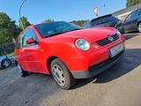 Volkswagen Lupo 1.0 COMFORTLINE 1.Hand ! - Volkswagen Lupo: Comfortline