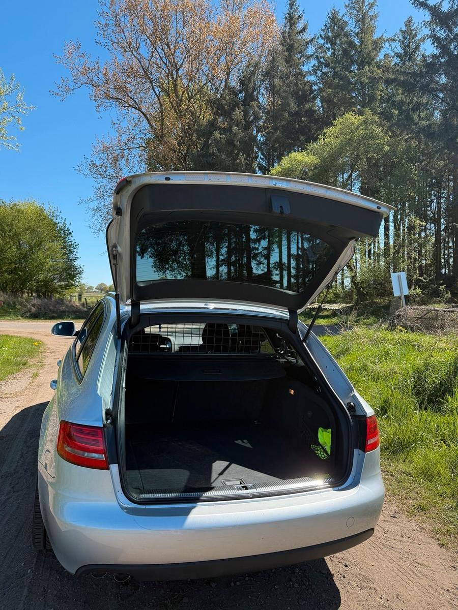 Audi A4 2008 — photo 5