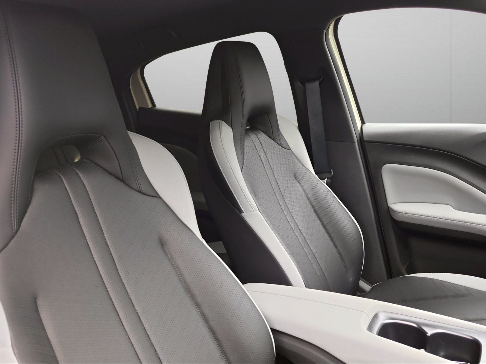 BYD DOLPHIN SURF