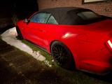 Ford Mustang 5.0 GT Cabrio | V8 - Ford Mustang: For