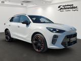 Cupra TERRAMAR VZ 2.0 TSI DSG 4WD AHK/HuD/MATRIX/PANOR - Gebrauchtwagen mit Schiebedach