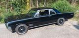 Pontiac Tempest Custom Coupe mit GTO-POWER - gebrauchte Pontiac Coupés