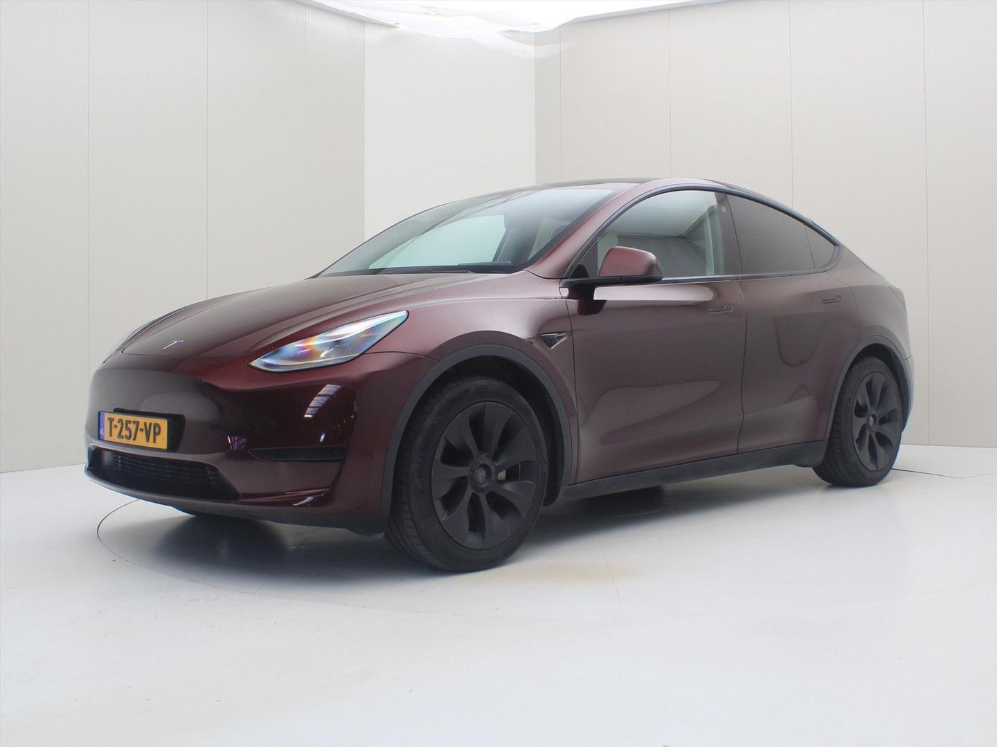 Tesla Model Y Standard RWD Plus [ TREKHAAK+AMD RYZEN+A