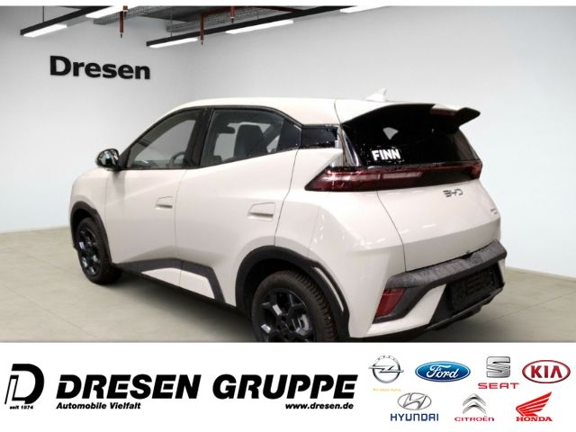 BYD DOLPHIN SURF