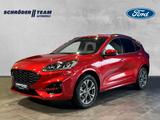 Ford Kuga ST-Line X Plug-In Hybrid - Ford Kuga Tageszulassungen