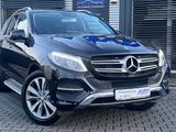 Mercedes-Benz GLE 350 d 4-Matic AMG sDach*AHK*LED*SPUR*E-SITZE - Mercedes-Benz GLE-Klasse
