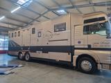 MAN Pferdetransporter 6 Pf+Kiste/PopOut Womozul