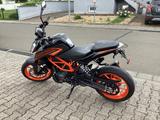 KTM Duke 125 - Sturzbügel - kurzes Heck - KTM 125