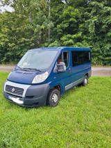 Fiat Ducato Multijet  2l 115,  9-Sitzer Standheizung  - Fiat Ducato: Sitzer 9