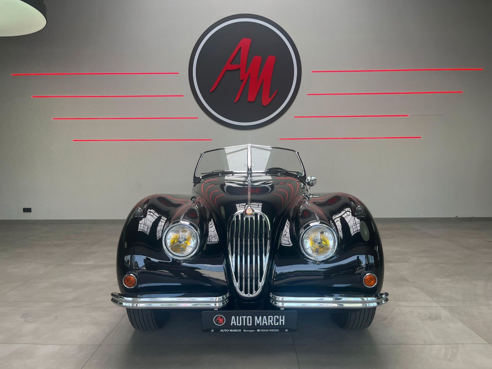 Fahrzeugabbildung Jaguar XK 140 SE-C OTS Roadster