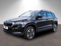Skoda Karoq - Vorschau Bild 2