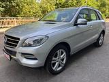 Mercedes-Benz ML 500 4M vom Doktor / Mercedes Scheckheft - Mercedes-Benz ML 500 aus 2013