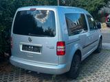 Volkswagen Caddy Kasten/Kombi Roncalli Trendline 4Motion - : Allradantrieb, Van
