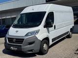 Fiat Ducato Grossr.-Kasten 35 130 L4H2 RS: 4035 mm/3- - Fiat Ducato l4 h2