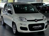 Fiat Panda 1.2 Pop "KLIMA PDC SERVO EURO6" - Fiat Panda: Eu