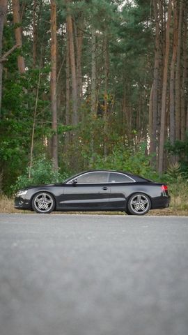 Audi A5 B8 // Frisch Tüv