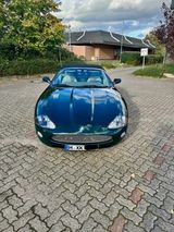 Jaguar XK8 Cabriolet -4,2l British Racing Green  - Jaguar XK8: Cabrio