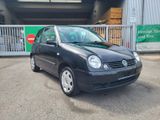 Volkswagen Lupo Basis Klima Tüv neu  Automatik - Volkswagen Lupo: Schwarz