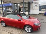 Volkswagen Golf VI Cabrio Lounge BMT 1.4 TSI DSG AHK Navi - Volkswagen Golf: Cabrio, Golf4
