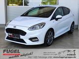 Ford Fiesta 1.0 EcoBoost ST-Line Winter|Sound|SHZ|Nav - Ford Fiesta Gebrauchtwagen in Dresden