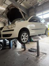 Volkswagen Polo 1.4TDI 51kW Tour Tour - Volkswagen Polo aus 2006: TDI
