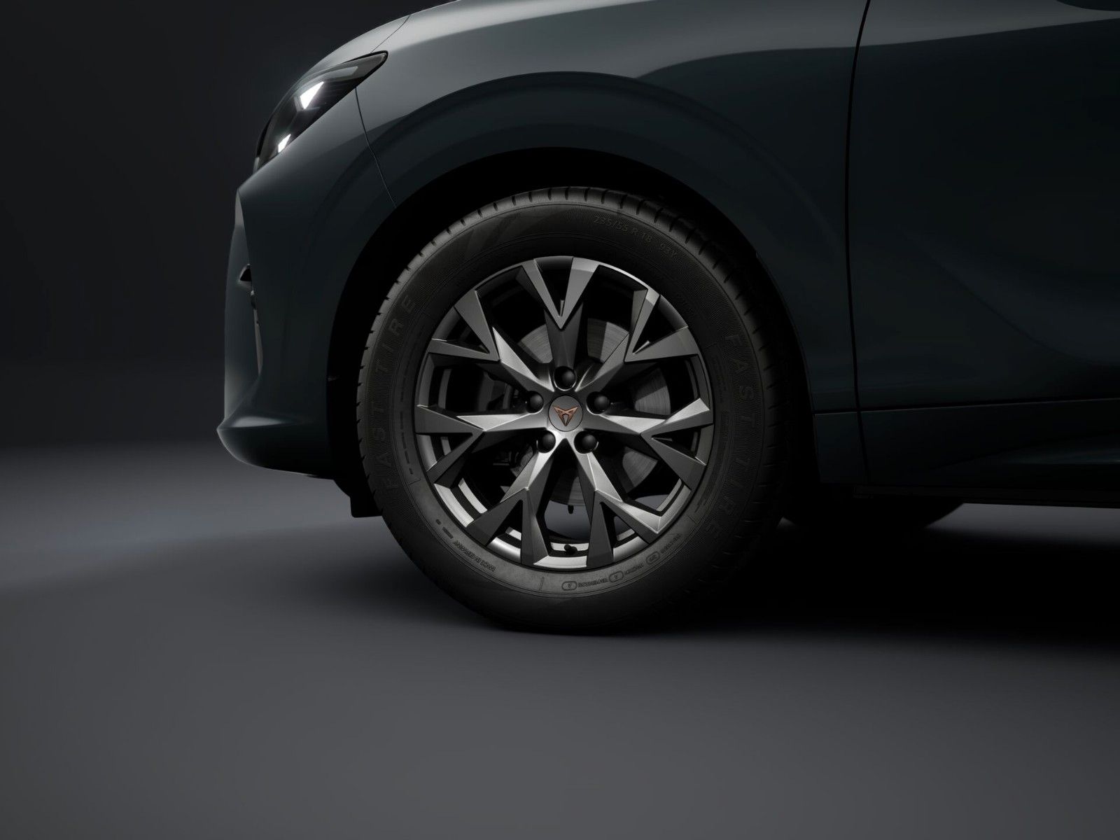Cupra Terramar - Bild 5