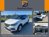 Opel Grandland X 2.0 D 120 Jahre Aut. Navi+Ahk+Kamera - Opel Grandland (X) in Mainz