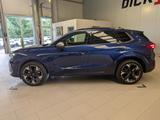 Cupra Terramar 1.5 eTSI Dinamica Edge-Paket HUD 19" - Cupra Terramar Gebrauchtwagen in Dortmund