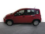 Fiat Panda Pandina City Paket DAB Spurhalteass. Verke - Fiat Panda Jahreswagen