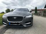 Jaguar XF 30d 300PS R-Sport Automatik R-Sport - Jaguar XF: Limousine