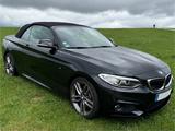 BMW 228i Cabrio M Sport, 1. Hand, Xenon, Leder, Navi - BMW 2 Series: Cabrio