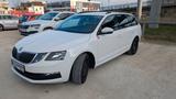 Skoda Octavia 1.0 TSI Ambition Tour AHK*ACC*LED*NAVI
