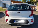 Kia Picanto 1.0 Edition 7 ** gepflegt ** 1. Hand **  - Kia Picanto von privat