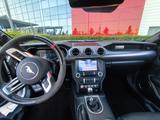 Ford Mustang 5.0 V8 GT Dt Modell 1. Hd., Ford Garanti - Ford Mustang in Ludwigshafen