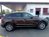 Audi Q5 Exclusive  3.0 TDI S tronic Quattro  - Audi Q5: Braun