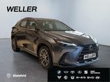 Lexus NX 350h *Bi-LED*ACC*CAM*Navi*CarPlay*Soundsystem - Lexus: L