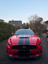 Ford Mustang 3.7 V6 305PS | Voll - Leder | - Ford Mustang Gebrauchtwagen in Bielefeld