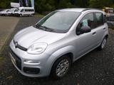 Fiat Panda Pop - Fiat Panda POP mit Benzin-Antrieb