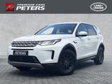Land Rover Discovery Sport D165 AWD 17''LM AHK ACC TotWinke - Land Rover Discovery Sport in Dortmund